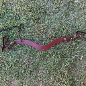 Leather beast collar